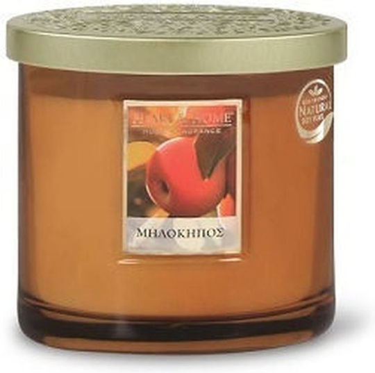 Heart & Home Aromatic Soy Candle in Jar with Apple Orchard Scent 220g