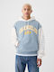 Sweatshirt with Hood Blue