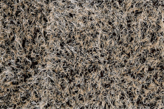 Ns Carpets Cut-to-Measure Carpet Prisma Espresso