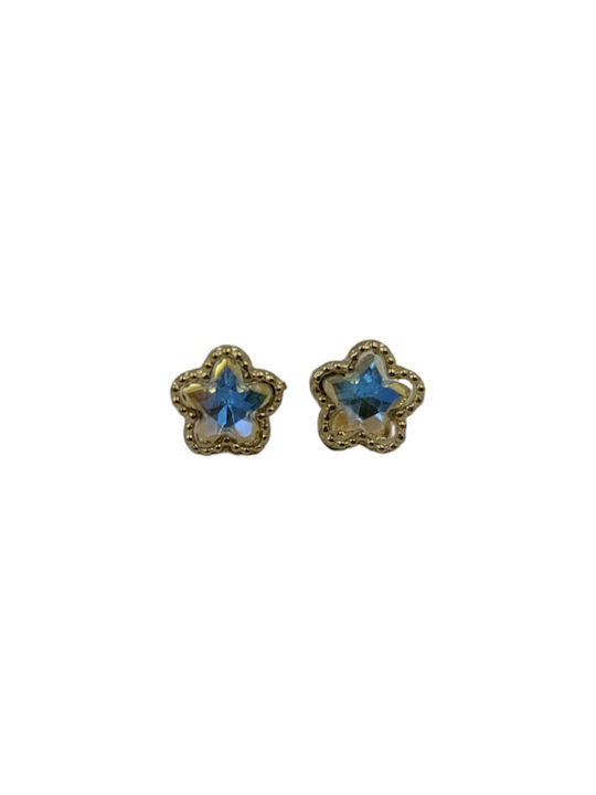 Earrings Gold Plated with Stones