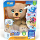 Ursuleț De Pluș Play-i Poe Interactiv Ai Pentru 4+ Ani 13 Cm