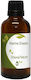 Elastină Marină 50ml Natură & Corp