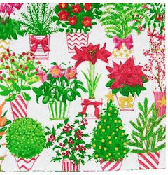 Napkins 16.5x16.5cm.