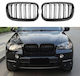 Prasco 242554 Mask BMW X5 E70 07-13 X6 E71 08-14 M4 Look Double Grille Glossy Black 6 Grilles 2 Pieces