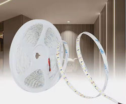 Home Lighting LED Strip 24V with Natural White Light 1m Home Lighting LED Strip 24V with Natural White Light 1m