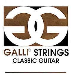 Galli C3-G Μονή Χορδή