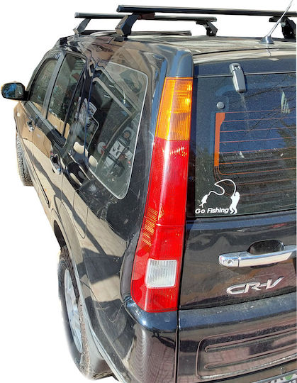 Hermes 2002-2006 (with Roof Rack Legs)