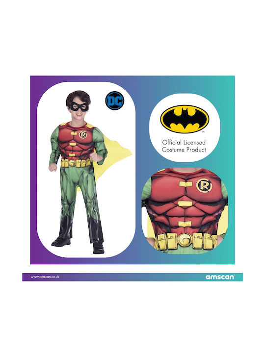 Kids Carnival Costume Robin Classic Costume