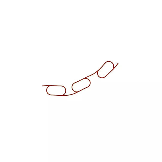 Garnitură galerie admisie BMW 3 E36 328 I 1995-1998 Corteco 450569h