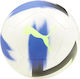 PUMA Cage Ball Футболна топка Бяла
