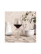 Eva Solo Set of Glasses for White and Red Wine made of Glass 450ml 6pcs