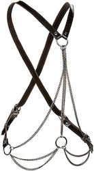Calexotics Harness Πολύχρωμο