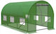 Garden Greenhouse Tunnel Type Metal Frame 300x200cm Green 6sqm