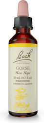 Power Health Gorse Ανθοΐαμα 20ml