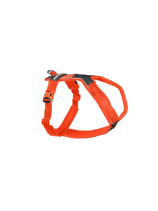 Non-stop Dogwear Line Ham Pentru Câini 5.0 No3 Portocaliu 39-62cm Non-stop Dogwear Line Ham Pentru Câini 5.0 No3 Portocaliu 39-62cm