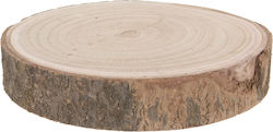 Tree Wood Slice