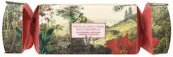 Payot Christmas Tableware Ornaments Cracker