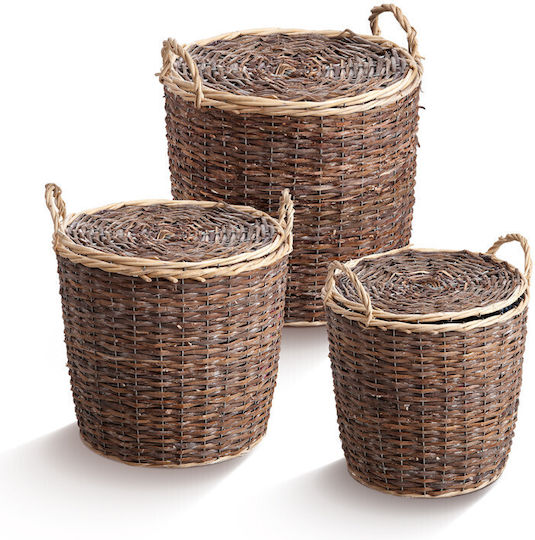 JK Home Decoration 1162404 Bamboo