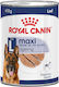 Royal Canin Maxi Wet Food for Senior Dogs in Cans Diet with Meat and Poultry 410gr