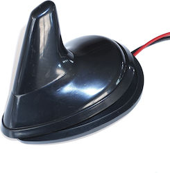 Active Fm Am Shark Auto Antenna