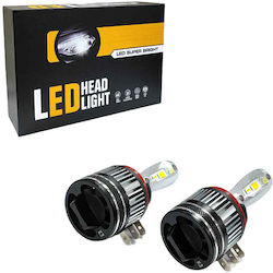 Lamps H15 LED Cold White 2pcs