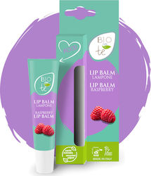 Bioconte Lip Balm 15ml