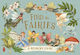 Find The Fairies A Memory Game Emily Hawkins 0810