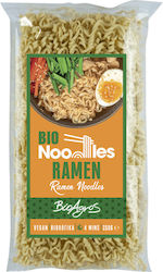 Tăieței Ramen Vegan 250g Bioagros Produs Organic