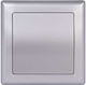 Mutlusan Daria Wall Switch Single Inox
