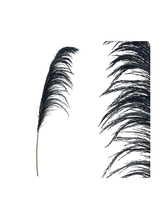 Plantă Uscată Pampas Grass Black Marhome
