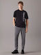 Jogginghose Glänzend mit Gummizug Grey
