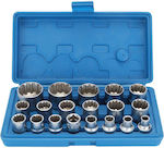 Set Ratchet 19pcs