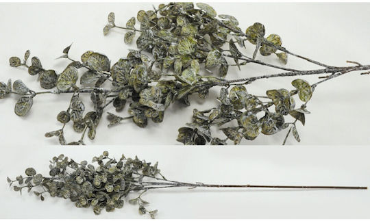Eucalyptus Vintage