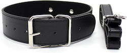 Collar