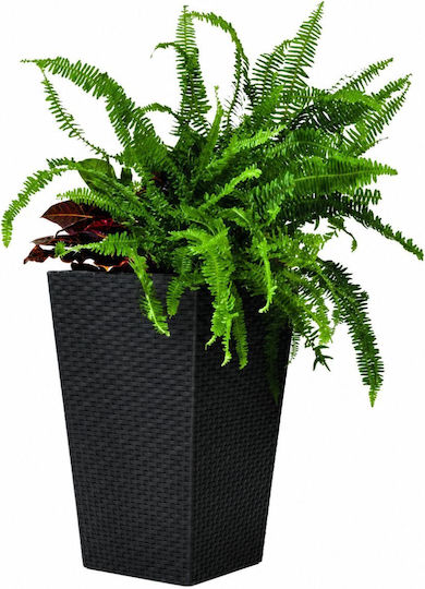 Keter Rattan Planter Γλάστρα Πλαστική Gray