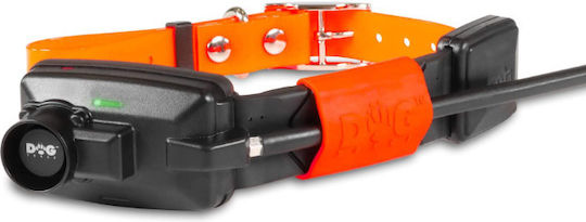 Dog Trace X25B Short GPS Elektrisches Hundehalsband