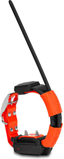 Dog Trace GPS Elektrisches Hundehalsband