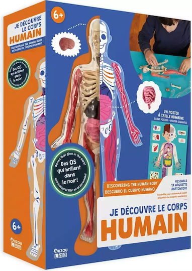 Auzou The Human Body STEM Educational Game Knowledge for 6+ years old Years Old