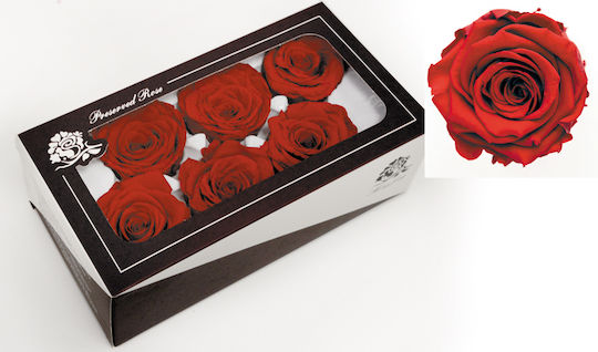 Paper Pack Διακοσμητικό Λουλούδι για DIY Κατασκευές Ροζ 6τμχ
