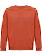 kirikoko Whatever I Have Lived, Vissi Has Said It, Anna Vissi Music Sweatshirt Orange