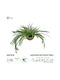 Globostar Artificial Garden Fern Hanging Plant 20624 Artificial Hanging Decorative Fern Plant Y45cm