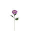 Lilac Pastel Peony Branch H61cm 24/144box