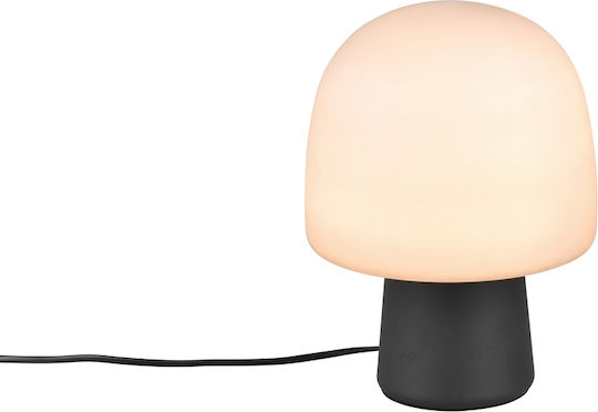 Trio Lighting Διακοσμητικό Φωτιστικό E14 20x27εκ.