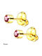 Amalfi Accessories Ohrringe aus Stahl Vergoldet