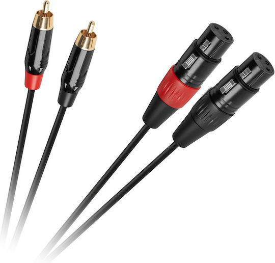 Cabletech Cable 2 x XLR female - 2 x RCA male Μαύρο 1m