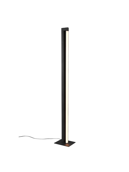 Trio Lighting Floor Lamp Black