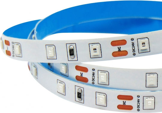 Wellmax LED Strip 24V Blue Light 5m Type SMD2835