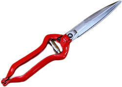Geoteco Hair Cutting Scissors Geoteco Hair Cutting Scissors