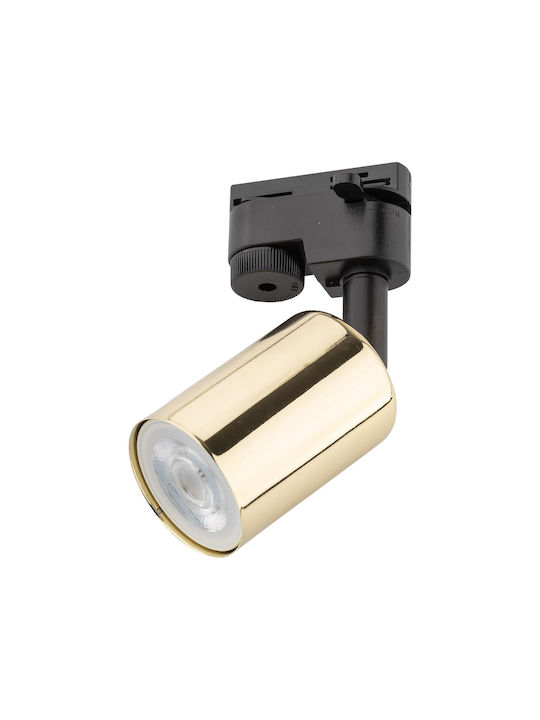 TK Lighting Single Spot with Socket GU10 in Black Color