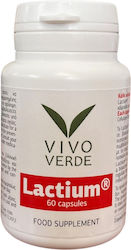 Vivo Verde Lactium 150mg 60 κάψουλες Vivo Verde Lactium 150mg 60 κάψουλες